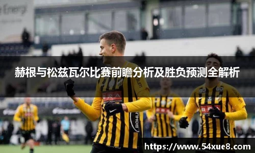 赫根与松兹瓦尔比赛前瞻分析及胜负预测全解析